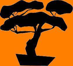 [bonsai+silueta+naranja.JPG]