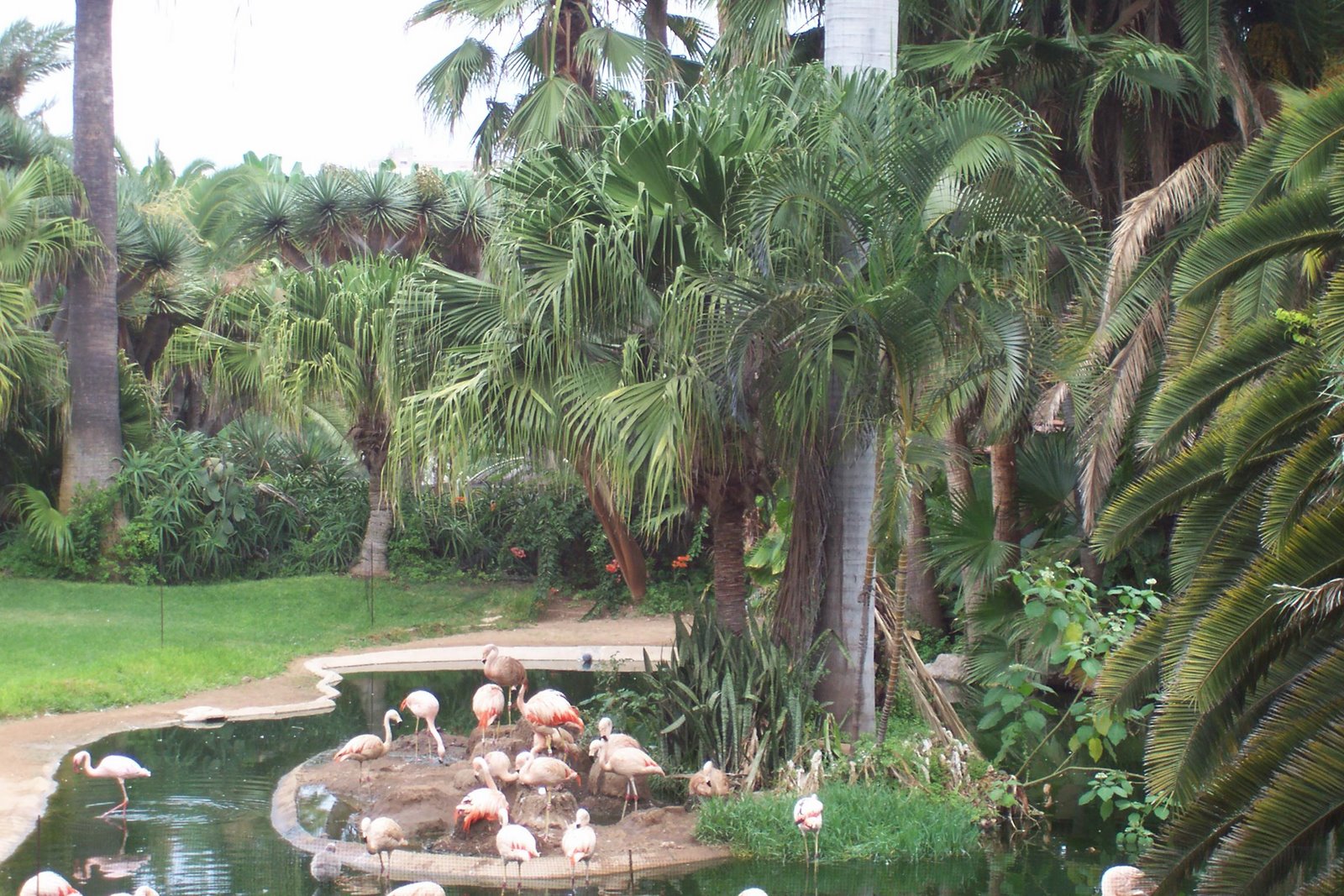 [flamingolar.jpg]