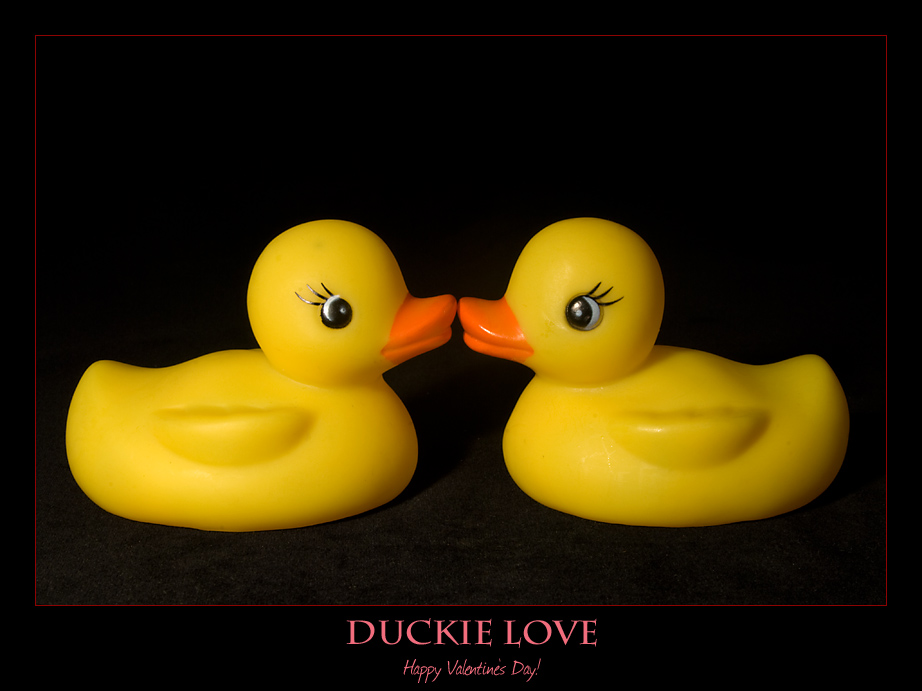 [February+14+~+Duckie+Love+P.jpg]