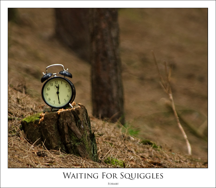 [Waiting+For+Squiggles+P.jpg]