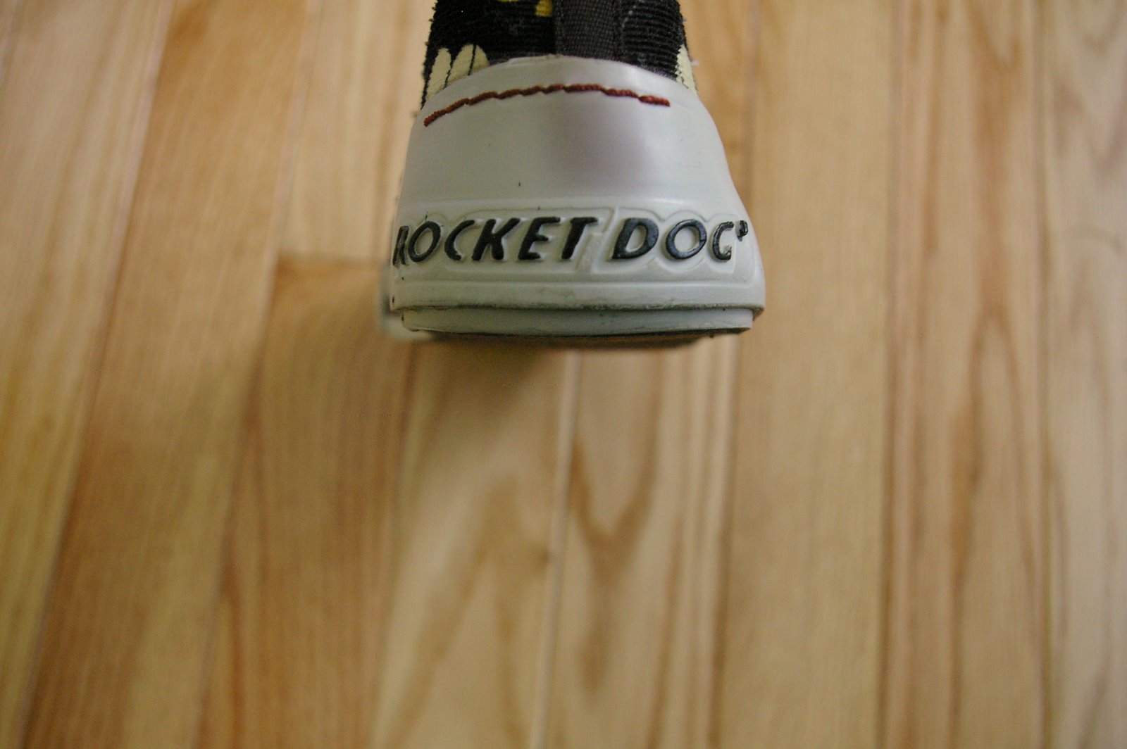 [rocketDog+003.JPG]