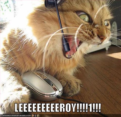 [lolcats-funny-pictures-leroy-jenkins.jpg]