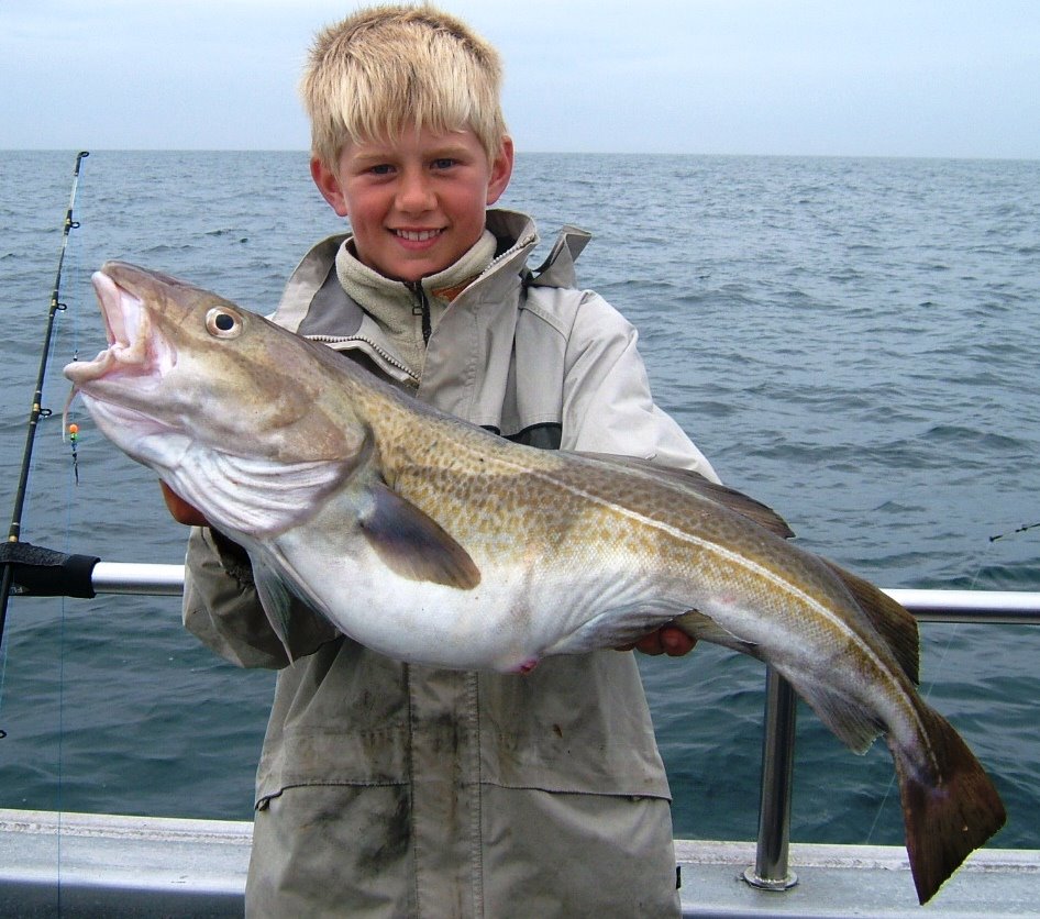 [Mike+Buckley+age+13+from+Warminster+with+12lb+cod+one+of+5+he+caught+on+Silver+Spray+21+june+2008.jpg]