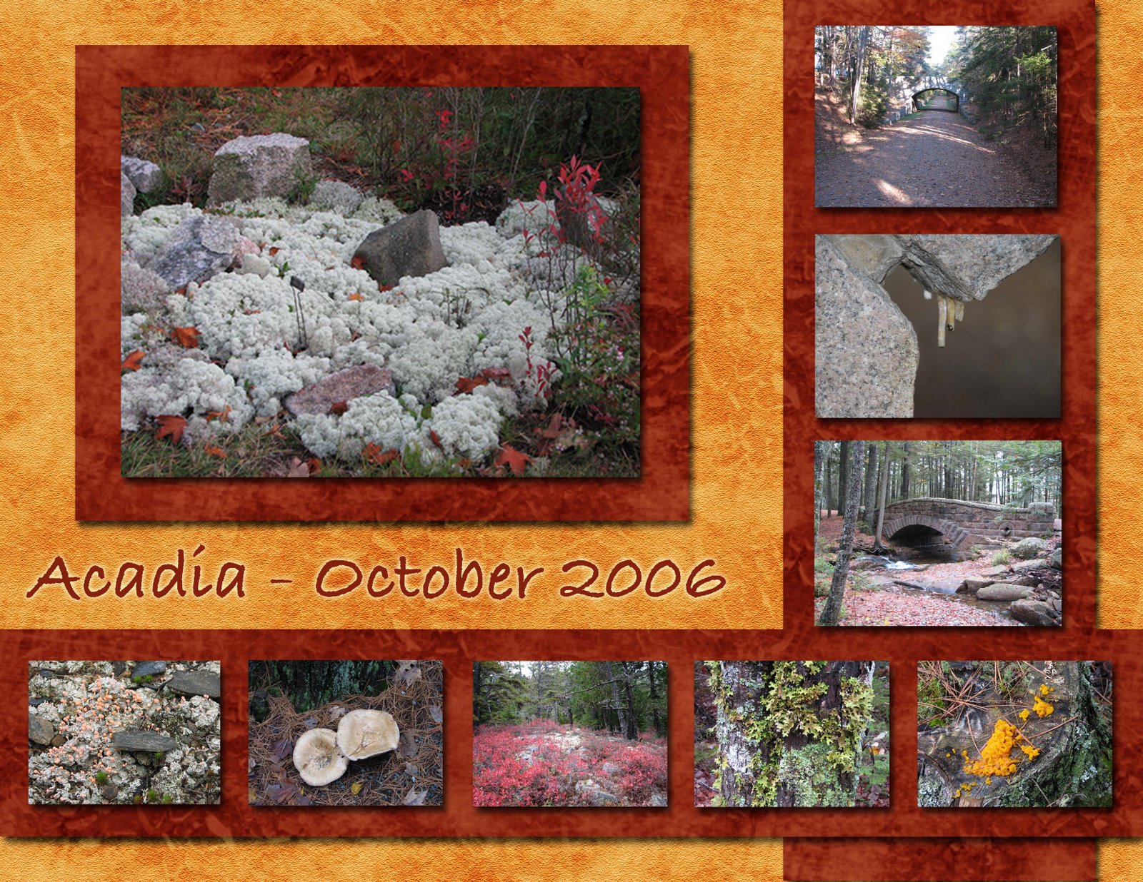 [Acadia+October+2006+COPY+TWO+Public.jpg]