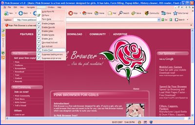 [pink+browser.jpg]