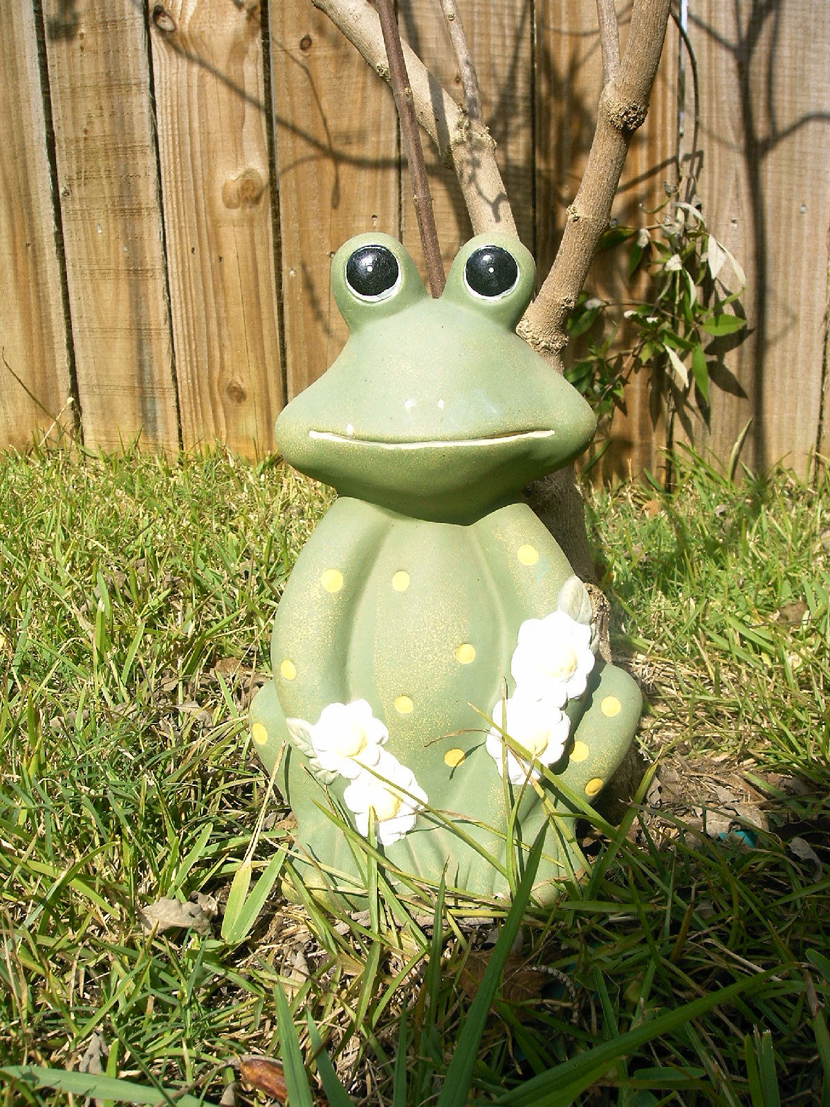[garden+frog.JPG]