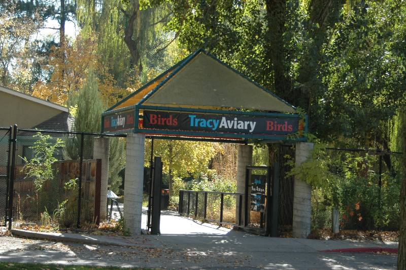 [Tracy+Aviary.jpg]