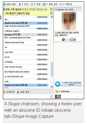 [Skype+from+Chosun+Ilbo+article.bmp]