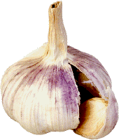 [Garlic.gif]