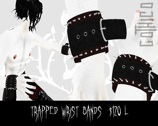 [Traped+wrist+bands.jpg]