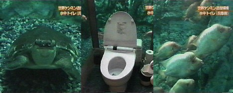 [aquarium_toilet.jpg]