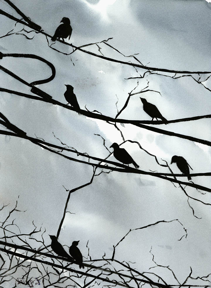 [crows_WM.jpg]