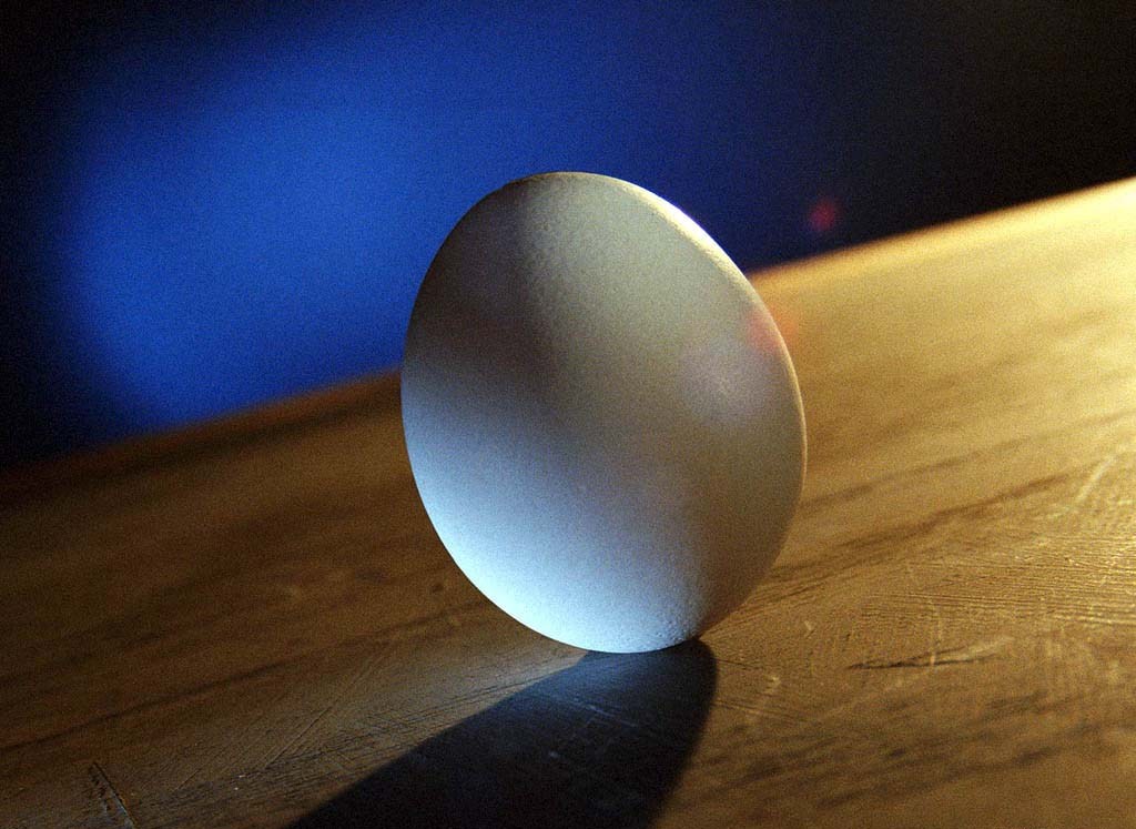 [egg2004.jpg]