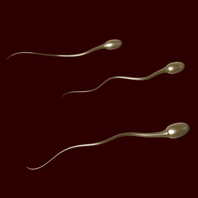 [sperm+01.jpg]
