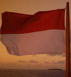 [indonesian-flag.jpg]