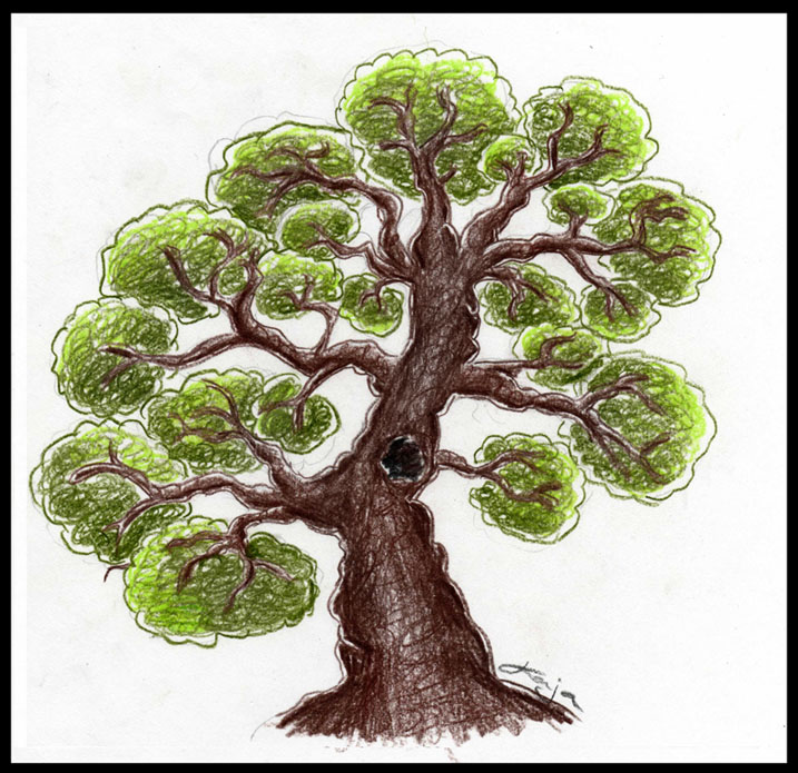 [Tree.jpg]