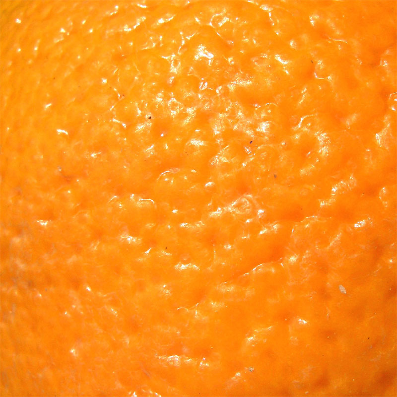 [Orange-Skin-Web.jpg]