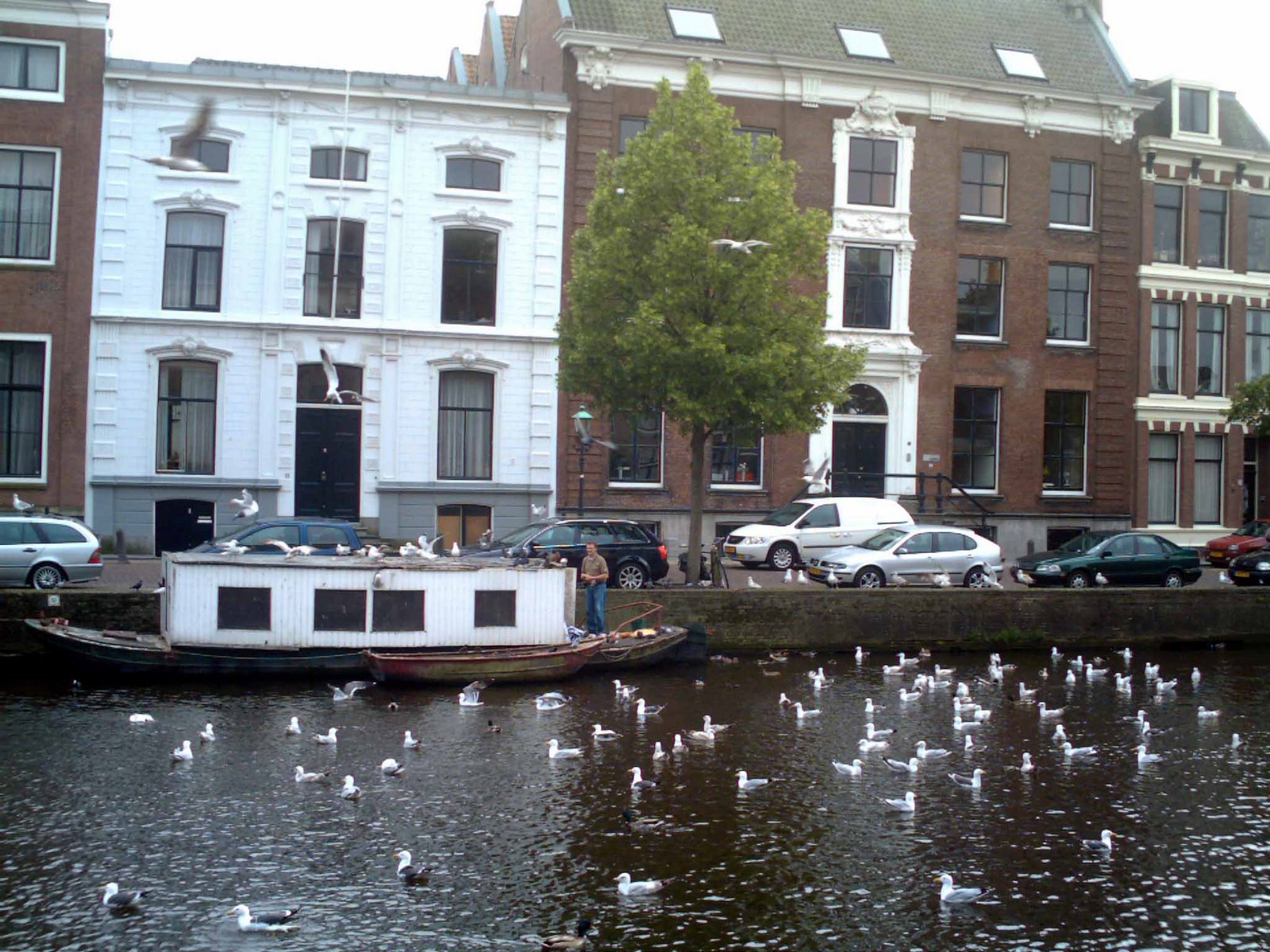 [Haarlem+Canal.jpg]
