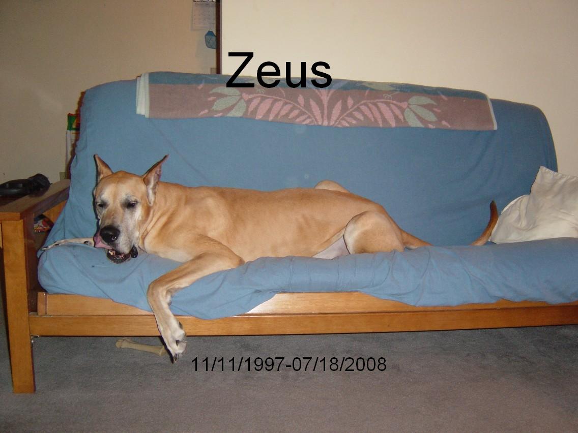[Zeus.JPG]