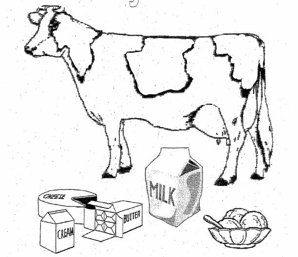 [Vaca+4.jpg]