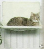 [cat+hammock.JPG]