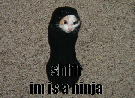 [ninja-726470.jpg]