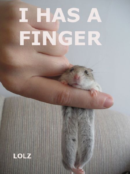[finger.jpg]
