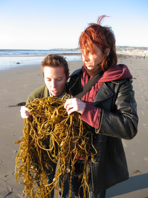 [seaweed2.JPG]