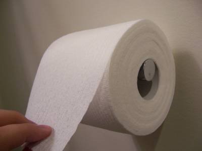 [toilet-paper-over.jpg]