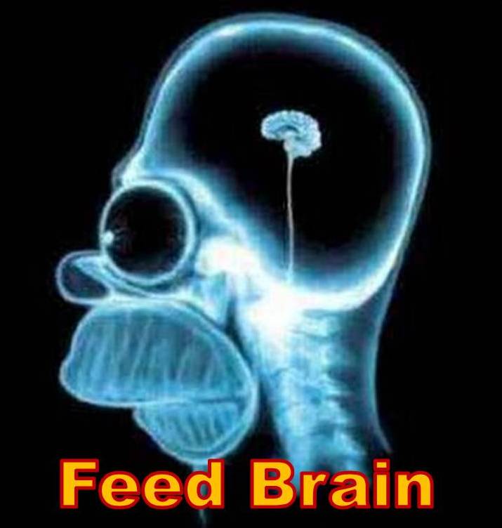 [Feed+Your+Brain.jpg]