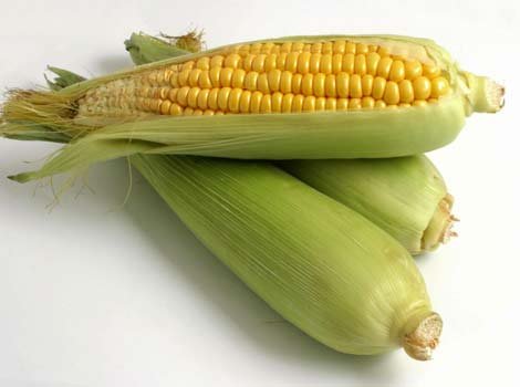 [corn+increases+in+price+over+argentine+farmer+strike.bmp]