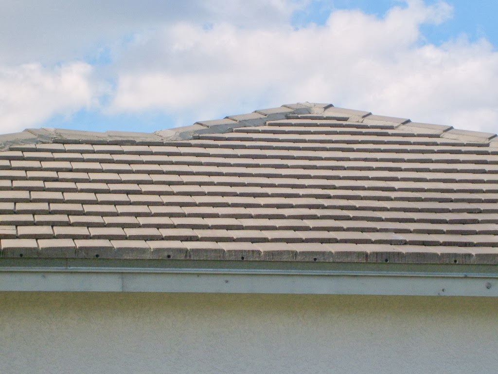 [Tampa+Non+Pressure+Roof+Cleaning+026.jpg]