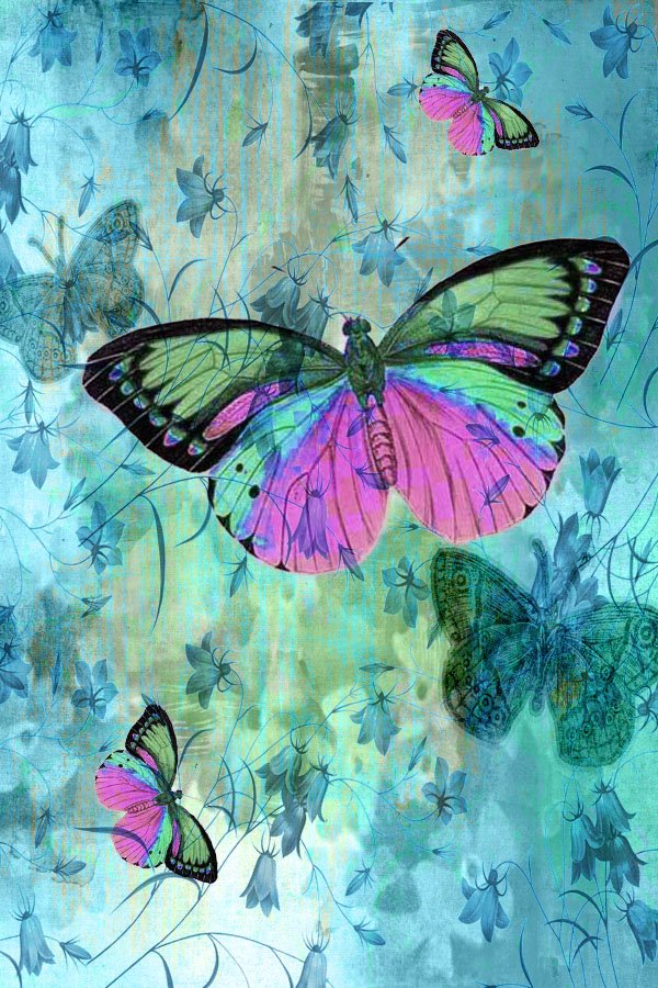 [altered+butterfly.jpg]
