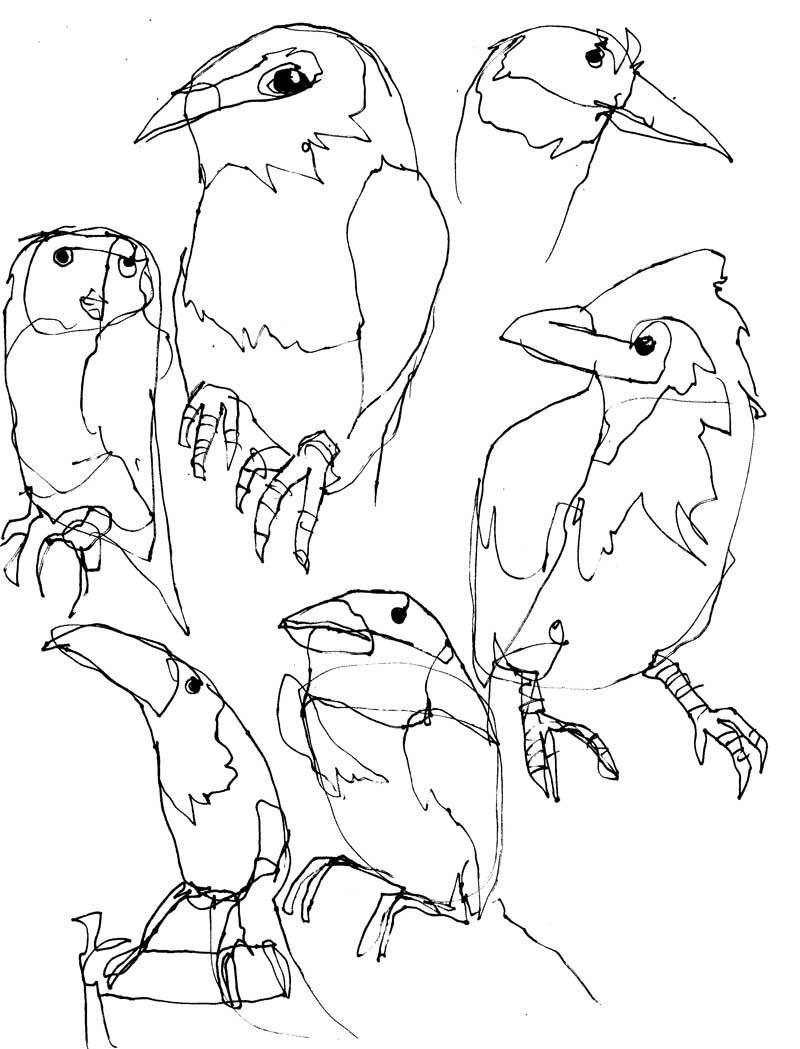 [bird-studies.jpg]