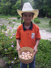 Sebastián mostrando su producción de huevo orgánico