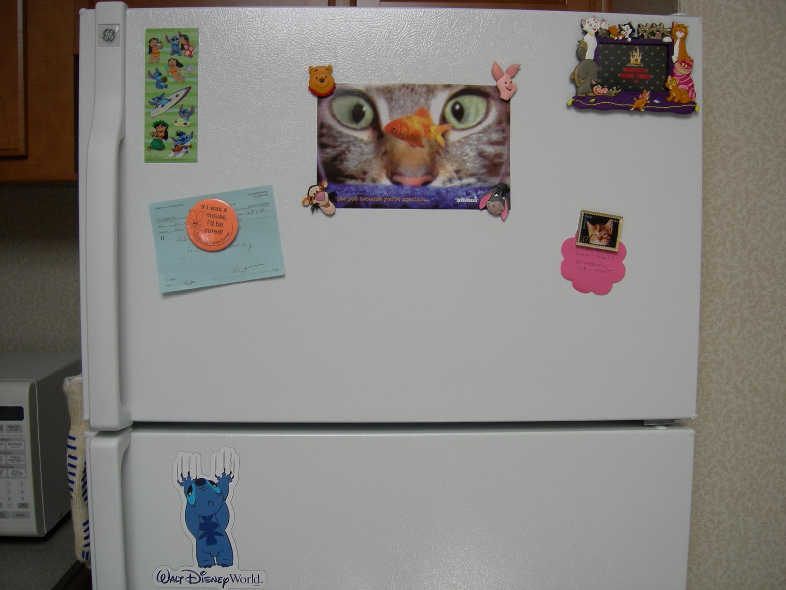 [fridge1.JPG]