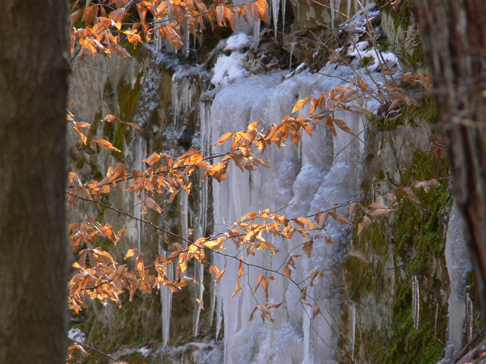 [Patoka+Frozen+Waterfall.jpg]