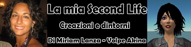 La mia second life - Biografia