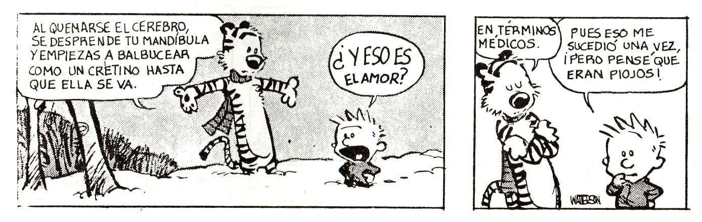 [Calvin+&+Hobbes8.jpg]