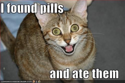 [lolcat-funny-picture-found-pills-ate-eat.jpg]