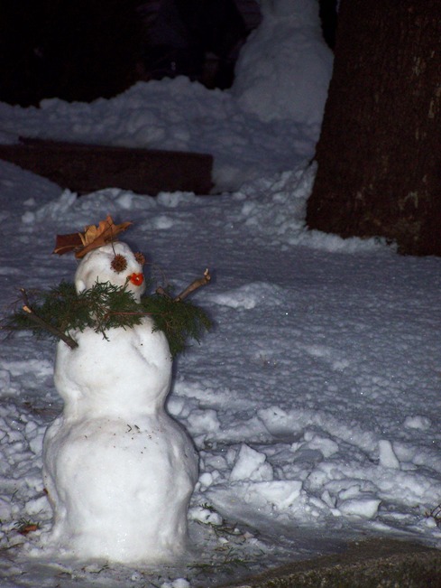 [snowman+1.JPG]