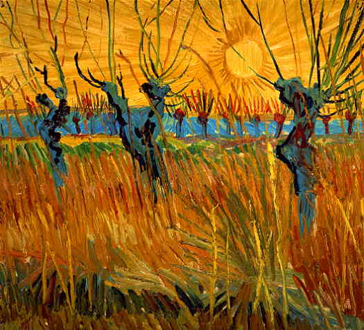 [willows+by+Vincent+van+Gogh.jpg]
