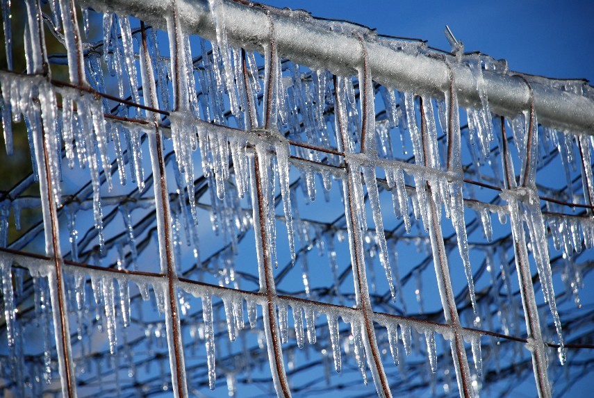 [Icicles+on+fencing.jpg]