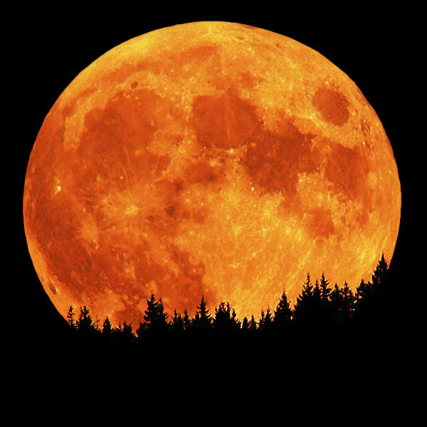 [red+full+moon.jpg]