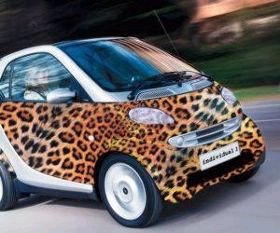 [safari+vehicle.jpg]