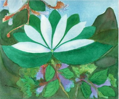 [Magnolia-+Lotus.jpg]