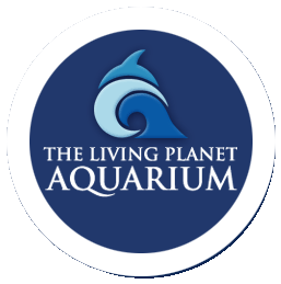 [the+living+planet+aquarium.gif]
