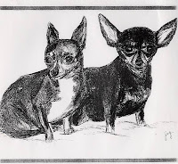 Pooches by Judy Green