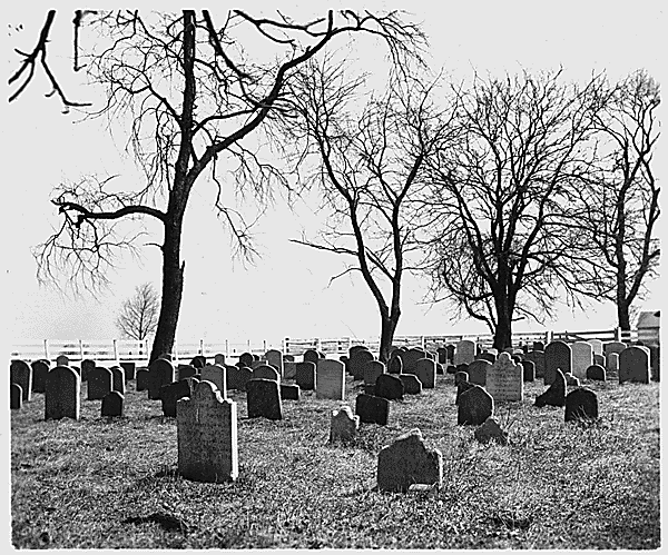 [Amish_cemetery.gif]