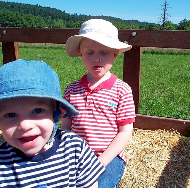 [Little+Boys+on+the+Farm+4.jpg]